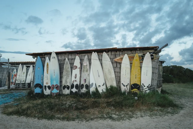 Pure watersports culture captured in every board